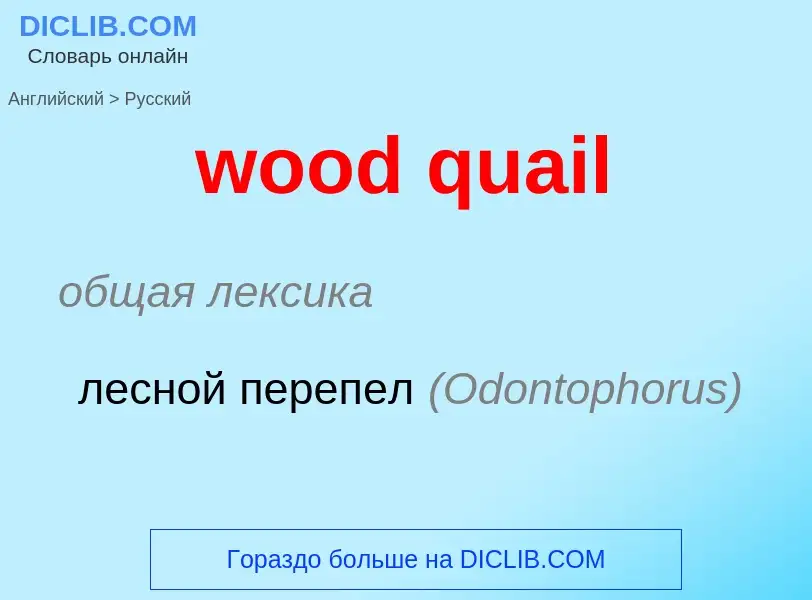 Как переводится wood quail на Русский язык