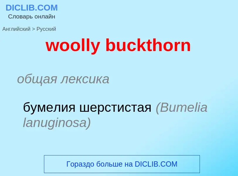 ¿Cómo se dice woolly buckthorn en Ruso? Traducción de &#39woolly buckthorn&#39 al Ruso