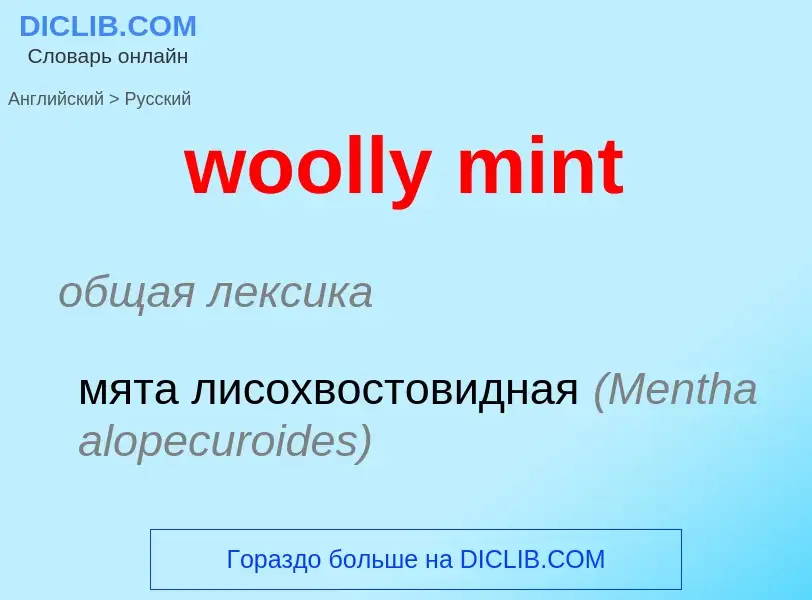 Как переводится woolly mint на Русский язык