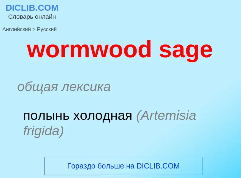 ¿Cómo se dice wormwood sage en Ruso? Traducción de &#39wormwood sage&#39 al Ruso