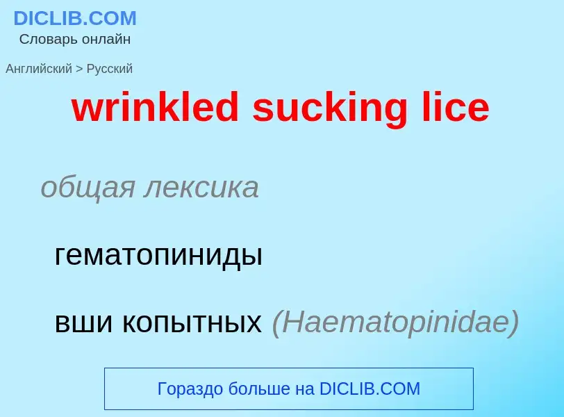 Как переводится wrinkled sucking lice на Русский язык