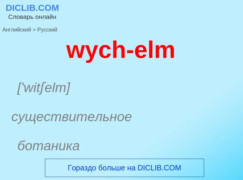 Как переводится wych-elm на Русский язык