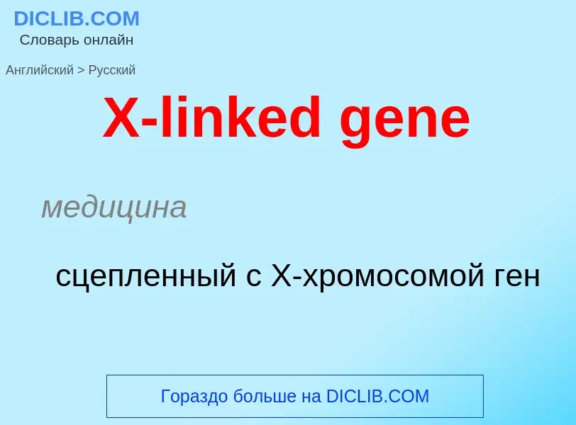 Как переводится X-linked gene на Русский язык