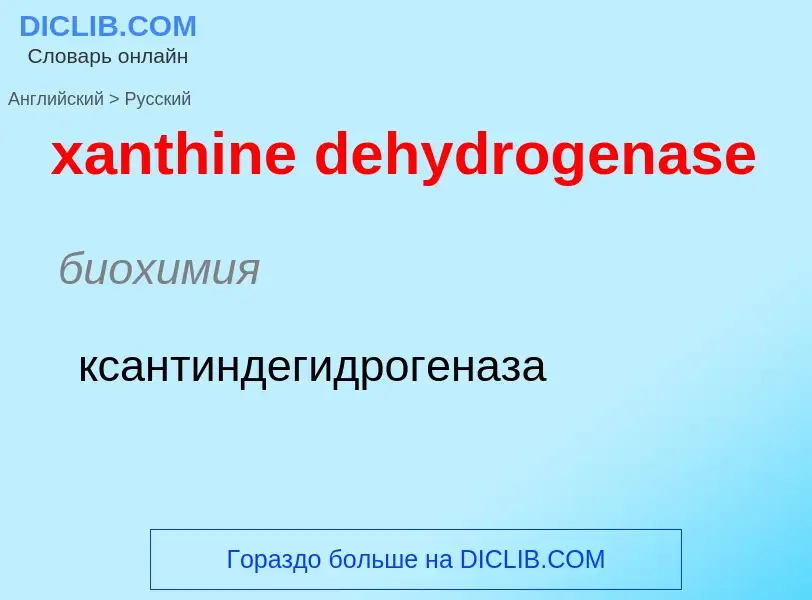 Как переводится xanthine dehydrogenase на Русский язык