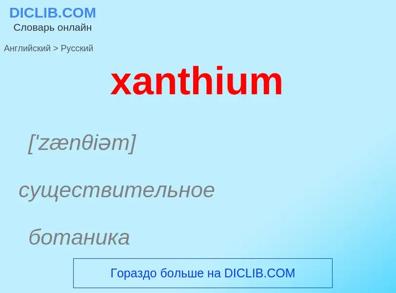 Как переводится xanthium на Русский язык