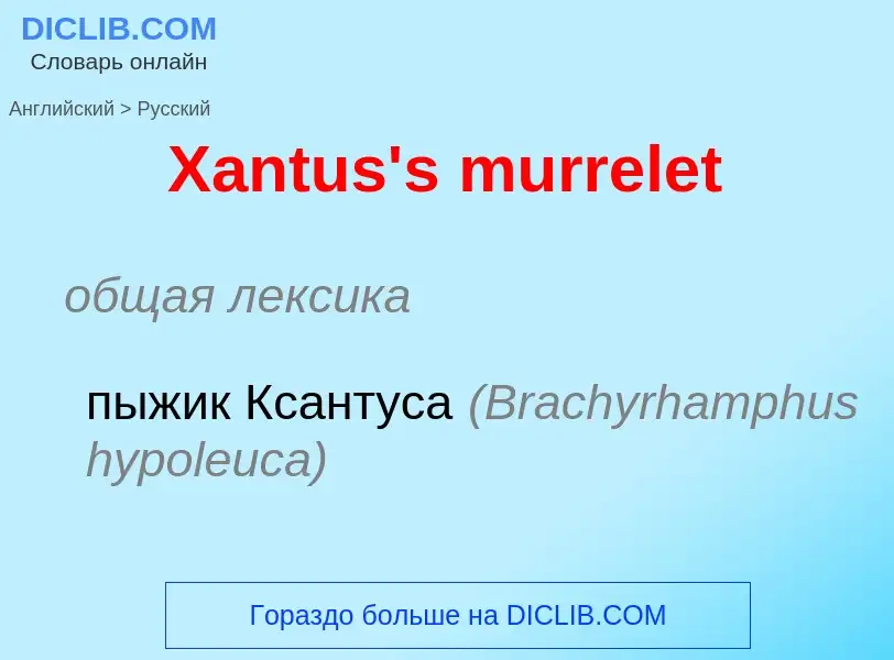 Как переводится Xantus's murrelet на Русский язык