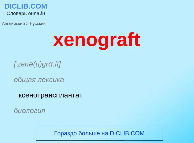 Como se diz xenograft em Russo? Tradução de &#39xenograft&#39 em Russo