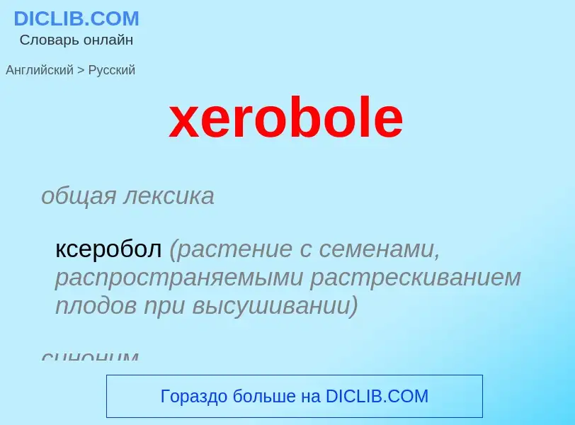 Como se diz xerobole em Russo? Tradução de &#39xerobole&#39 em Russo