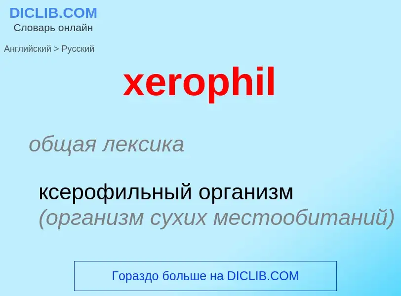 Como se diz xerophil em Russo? Tradução de &#39xerophil&#39 em Russo