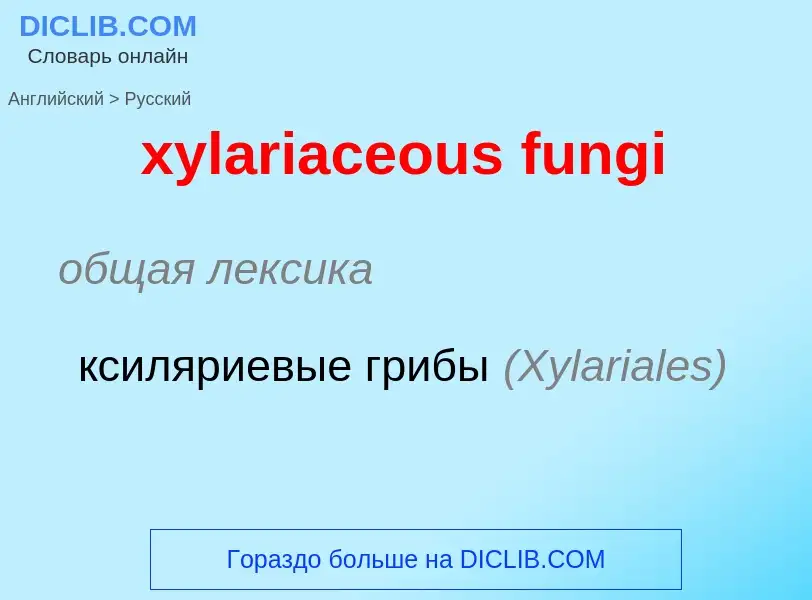 Как переводится xylariaceous fungi на Русский язык