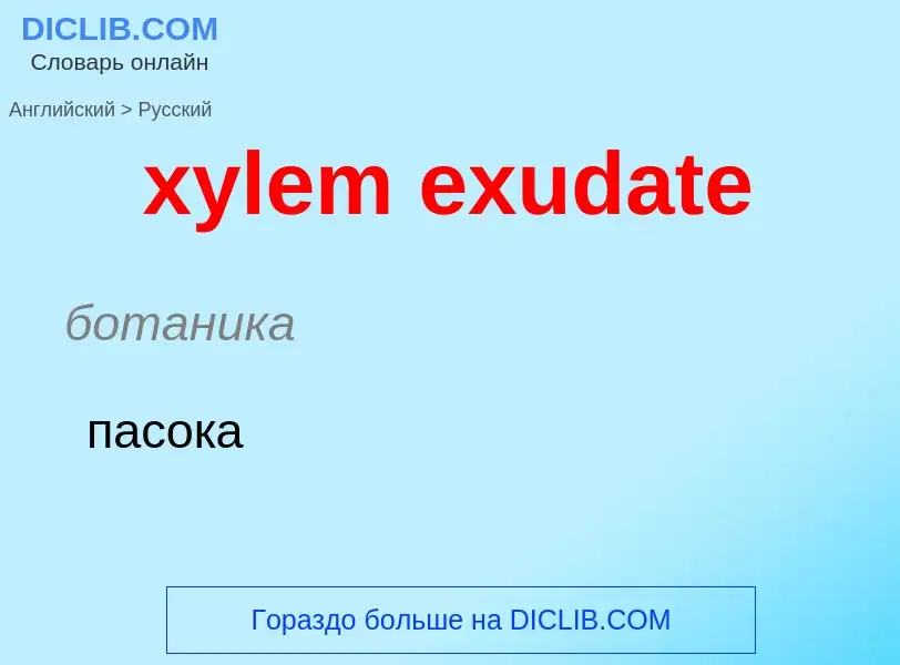 Как переводится xylem exudate на Русский язык