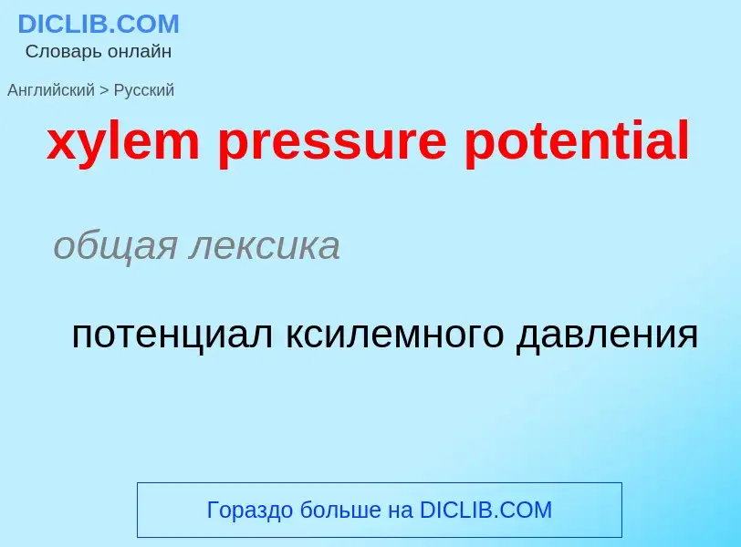 Como se diz xylem pressure potential em Russo? Tradução de &#39xylem pressure potential&#39 em Russo