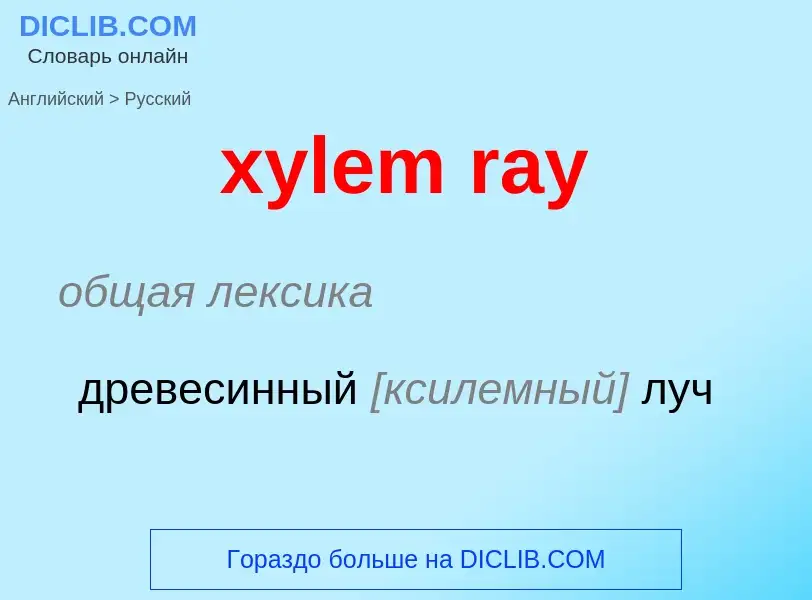 Как переводится xylem ray на Русский язык