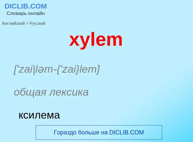 Como se diz xylem em Russo? Tradução de &#39xylem&#39 em Russo