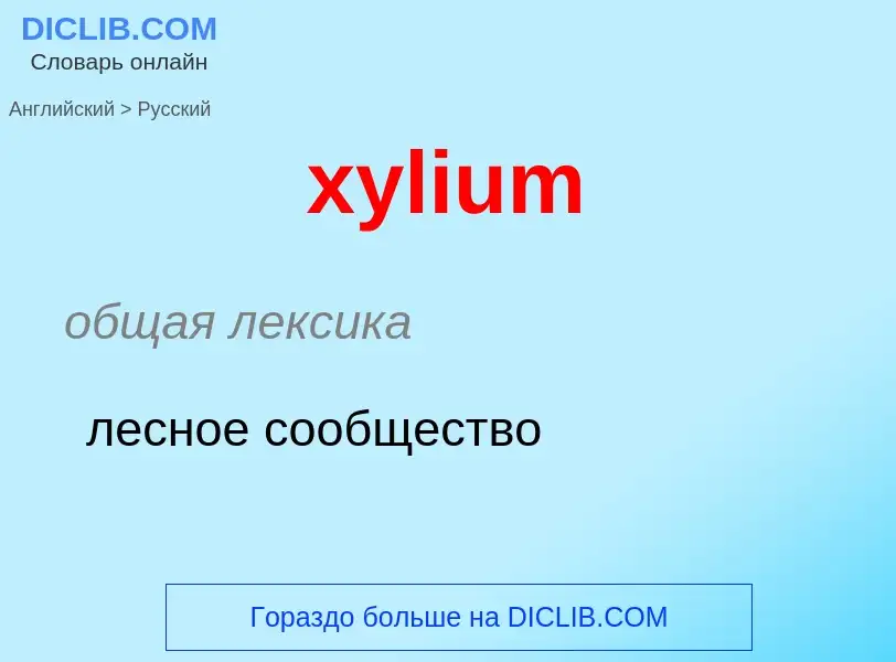 Como se diz xylium em Russo? Tradução de &#39xylium&#39 em Russo