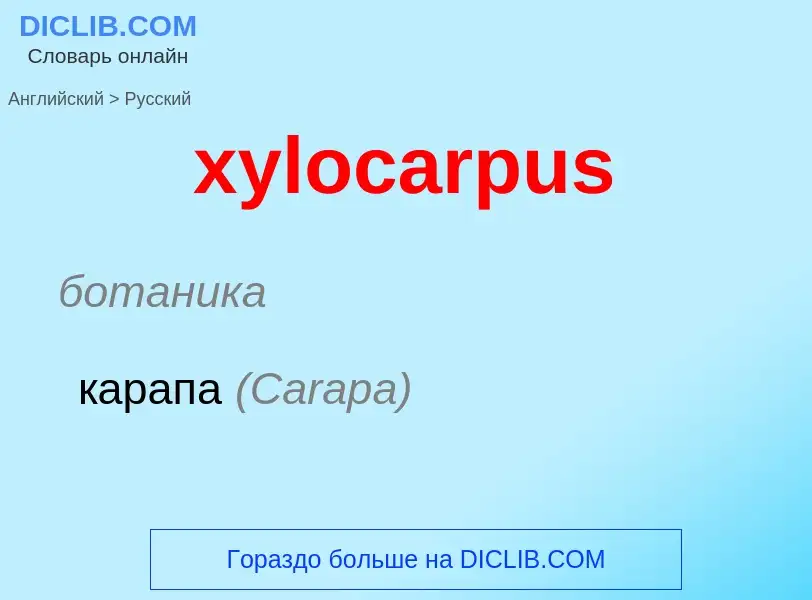 Como se diz xylocarpus em Russo? Tradução de &#39xylocarpus&#39 em Russo