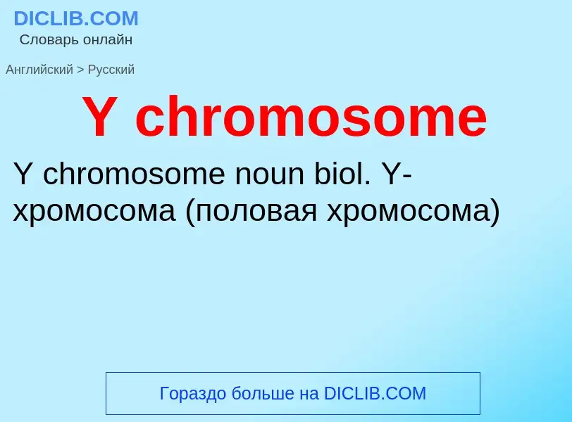 Как переводится Y chromosome на Русский язык