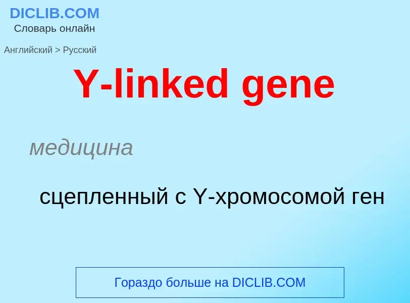 Vertaling van &#39Y-linked gene&#39 naar Russisch