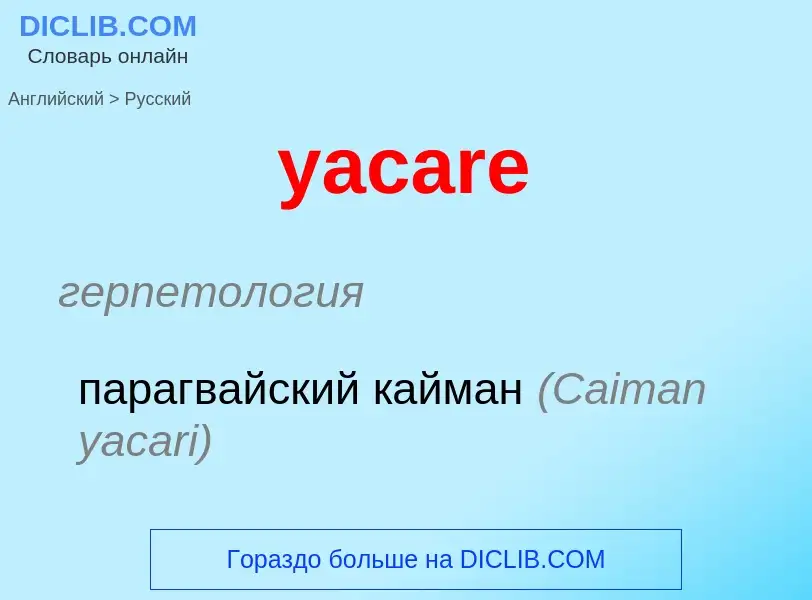 Как переводится yacare на Русский язык