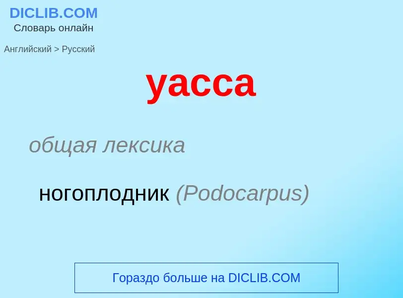 Übersetzung von &#39yacca&#39 in Russisch