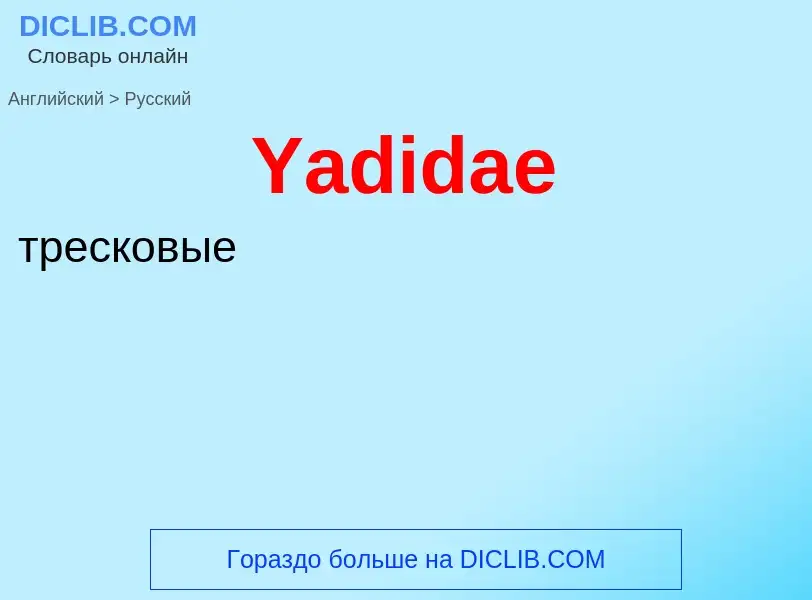 ¿Cómo se dice Yadidae en Ruso? Traducción de &#39Yadidae&#39 al Ruso