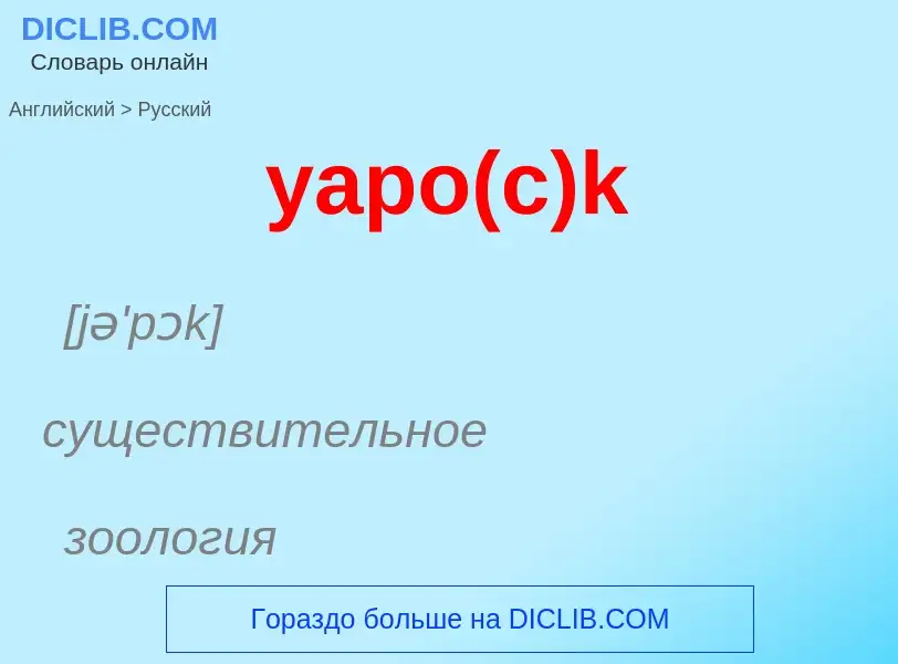 Как переводится yapo(c)k на Русский язык