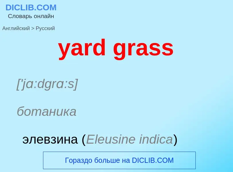 Как переводится yard grass на Русский язык