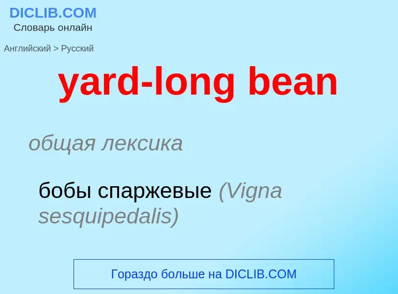 Traduzione di &#39yard-long bean&#39 in Russo