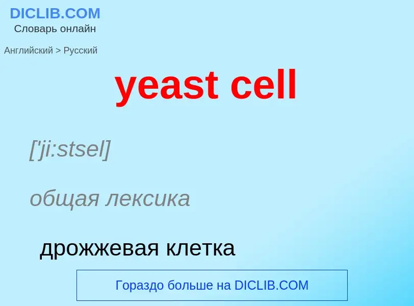 Как переводится yeast cell на Русский язык