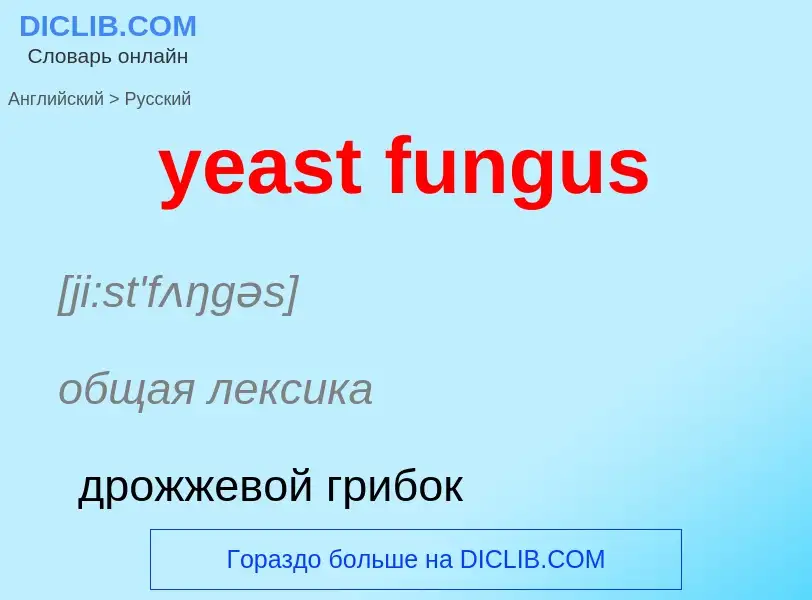 Μετάφραση του &#39yeast fungus&#39 σε Ρωσικά