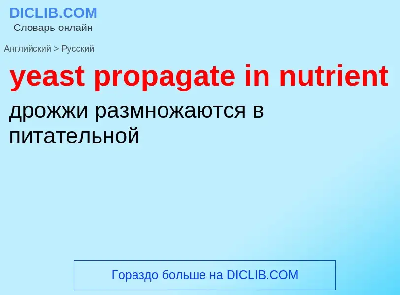 Как переводится yeast propagate in nutrient на Русский язык