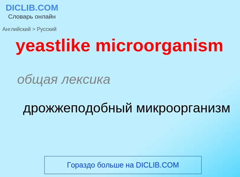 What is the الروسية for yeastlike microorganism? Translation of &#39yeastlike microorganism&#39 to ا