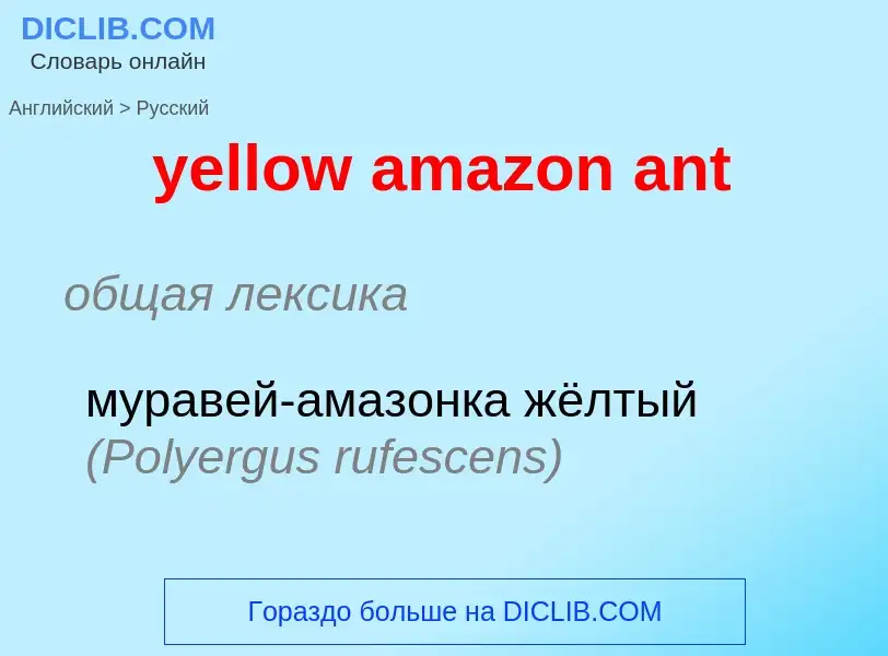 Como se diz yellow amazon ant em Russo? Tradução de &#39yellow amazon ant&#39 em Russo