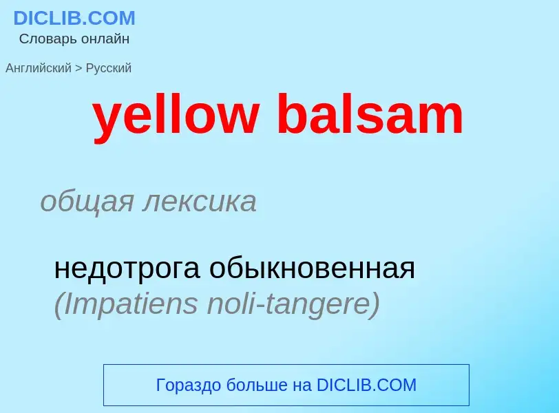 Como se diz yellow balsam em Russo? Tradução de &#39yellow balsam&#39 em Russo