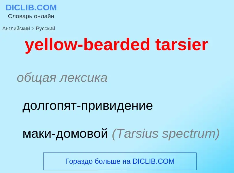 Как переводится yellow-bearded tarsier на Русский язык