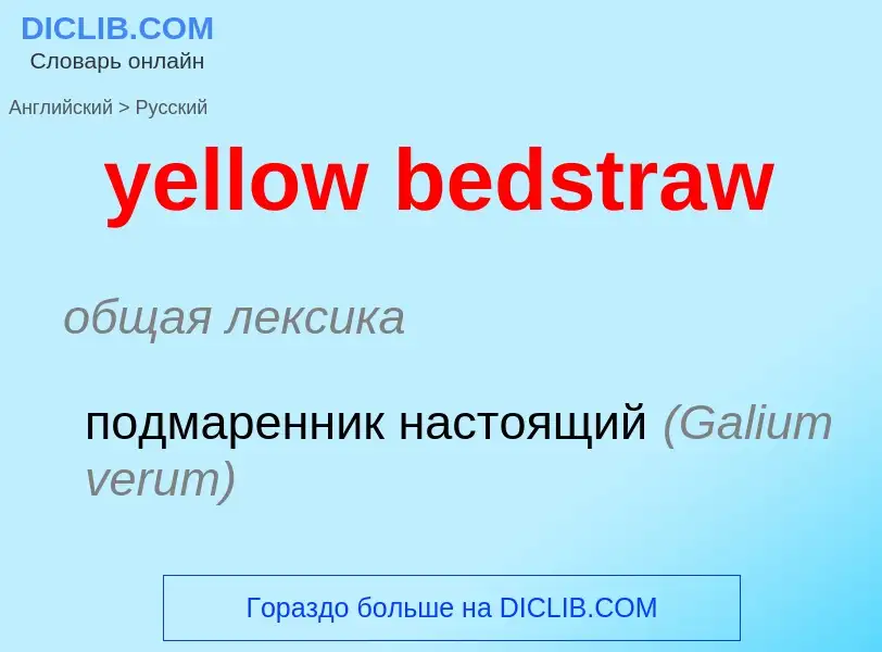 Como se diz yellow bedstraw em Russo? Tradução de &#39yellow bedstraw&#39 em Russo