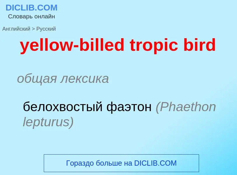 Как переводится yellow-billed tropic bird на Русский язык