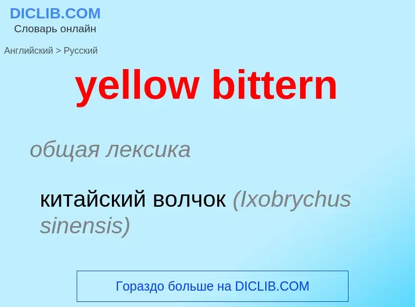 Как переводится yellow bittern на Русский язык