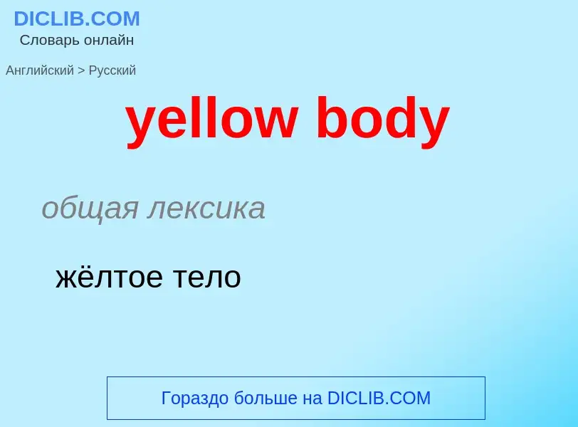 Как переводится yellow body на Русский язык