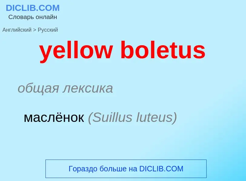 Как переводится yellow boletus на Русский язык