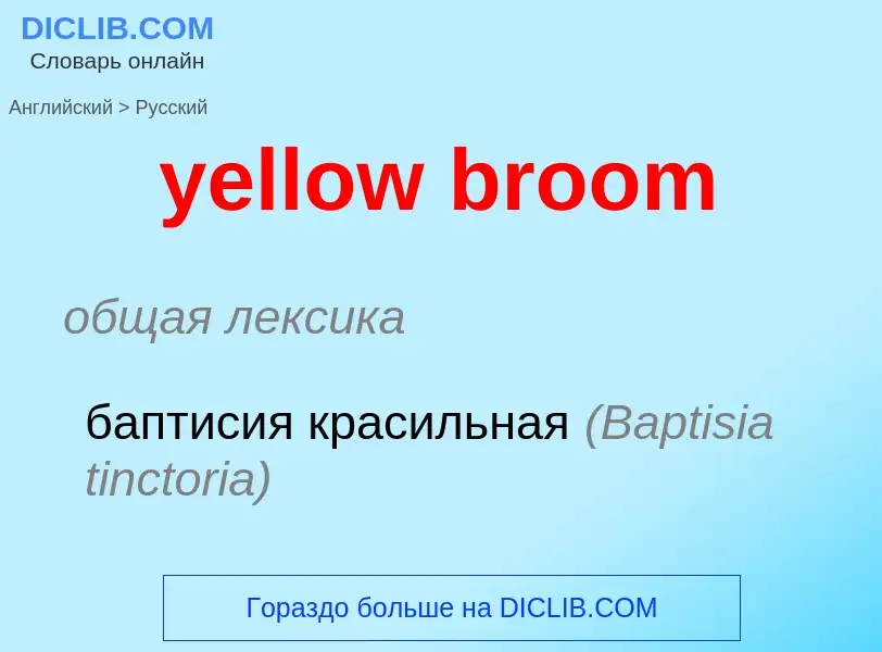 Как переводится yellow broom на Русский язык