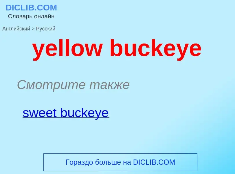 What is the Russian for yellow buckeye? Translation of &#39yellow buckeye&#39 to Russian