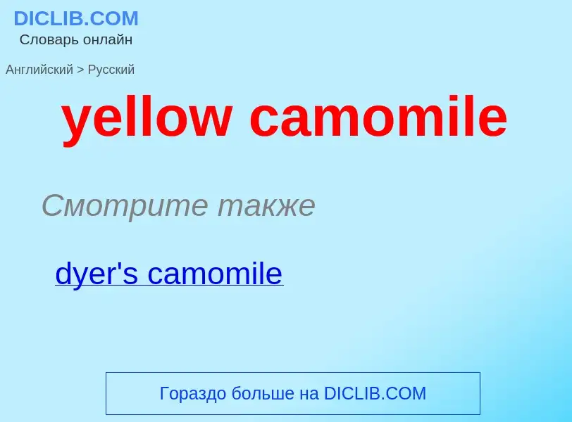 Vertaling van &#39yellow camomile&#39 naar Russisch