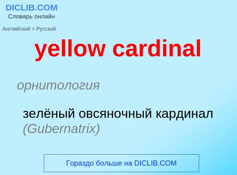 Как переводится yellow cardinal на Русский язык