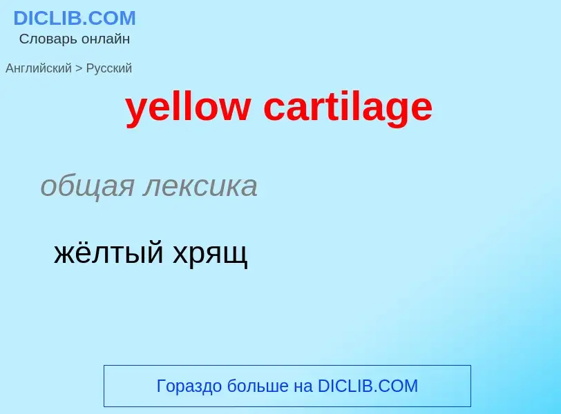 Как переводится yellow cartilage на Русский язык