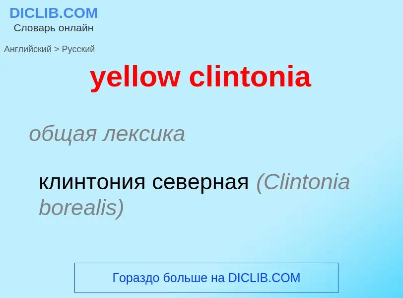 Как переводится yellow clintonia на Русский язык