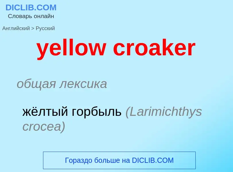 Как переводится yellow croaker на Русский язык