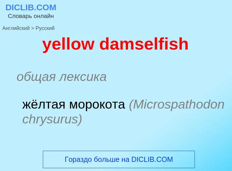 Как переводится yellow damselfish на Русский язык