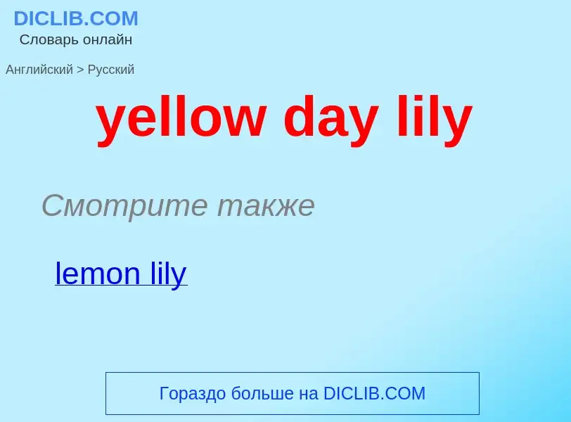 Как переводится yellow day lily на Русский язык