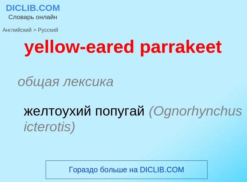 Como se diz yellow-eared parrakeet em Russo? Tradução de &#39yellow-eared parrakeet&#39 em Russo